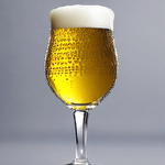 Mattresio---Xzavian-Beer-Glass