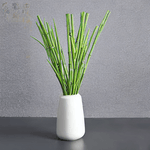 Decorationus---Vasili-Bud-Vase