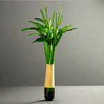 Homeset---Quindarius-Bud-Vase