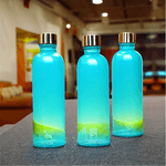 Infurniture---Hudsen-Sports-Water-Bottle