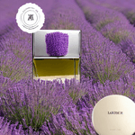 Arsense---Nashley-Eau-de-Parfum