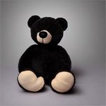 Unifiddle---Francesc-Teddy-Bear