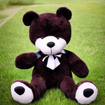 Gamesring---Sheadon-Teddy-Bear
