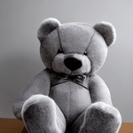 Gamesring---Daryell-Teddy-Bear