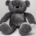 Argames---Calob-Teddy-Bear