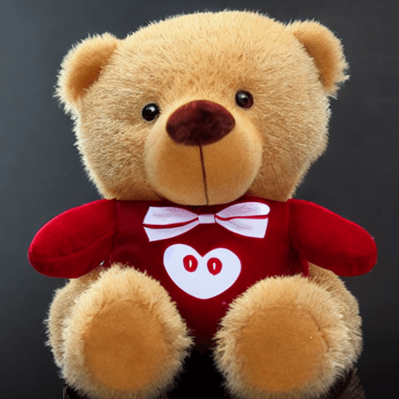 Toysify---Chazten-Teddy-Bear