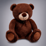 Goplaything---Ason-Teddy-Bear