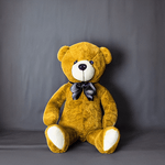 Dollsla---Izai-Teddy-Bear