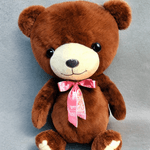 Toysify---Mead-Teddy-Bear