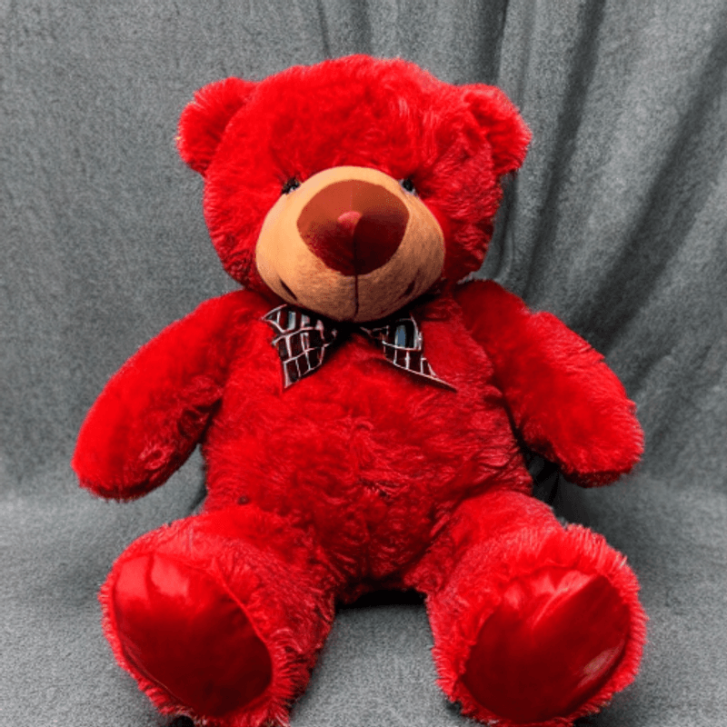 Dollsla---Faiyaz-Teddy-Bear