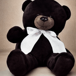 Dollsla---Exiquio-Teddy-Bear