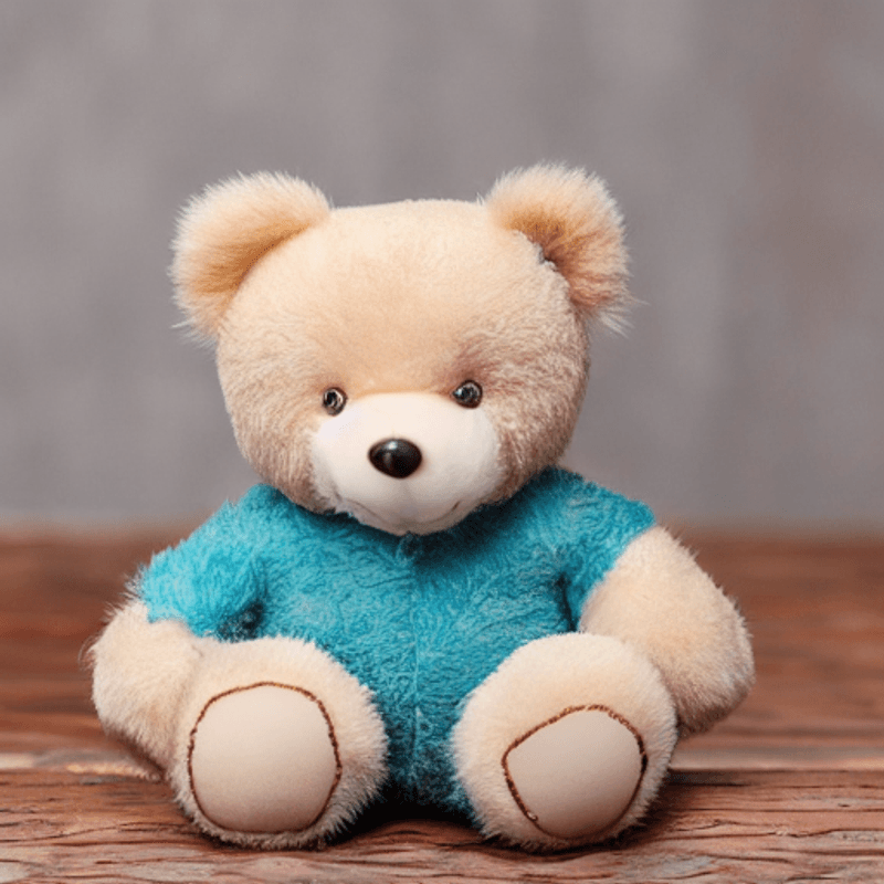 Unifiddle---Pawel-Teddy-Bear