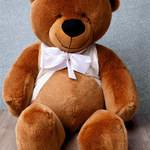 Gamesring---Aaqil-Teddy-Bear