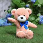 Gamesring---Ishi-Teddy-Bear