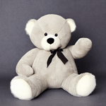 Toysify---Rashaun-Teddy-Bear