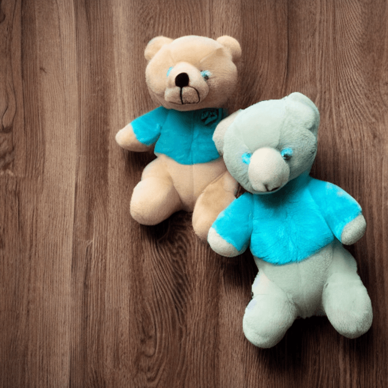 Toysify---Sashank-Teddy-Bear