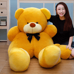 Toysify---Romaine-Teddy-Bear