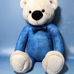 Toyson---Aleksandr-Teddy-Bear