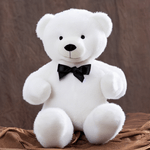 Toysset---Wardner-Teddy-Bear