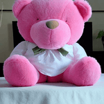 Gamesring---Arbaz-Teddy-Bear