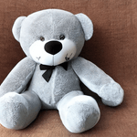 Toysify---Razeen-Teddy-Bear