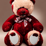 Goplaything---Ayan-Teddy-Bear