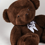 Toysify---Breyan-Teddy-Bear