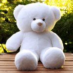 Toysset---Jaydenmatthew-Teddy-Bear