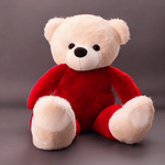 Dollsla---Natanim-Teddy-Bear