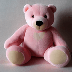 Toysset---Kito-Teddy-Bear