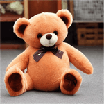 Toysify---Ikponmwosa-Teddy-Bear