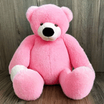 Argames---Charl-Teddy-Bear