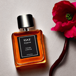 Updesign---Terrielle-Eau-de-Toilette