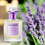 Stylinger---Tavonya-Eau-de-Parfum