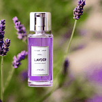 Ultvy---Whittany-Eau-de-Toilette