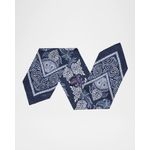 Men-s-Paisley-Silk-Habotai-Neckerchief